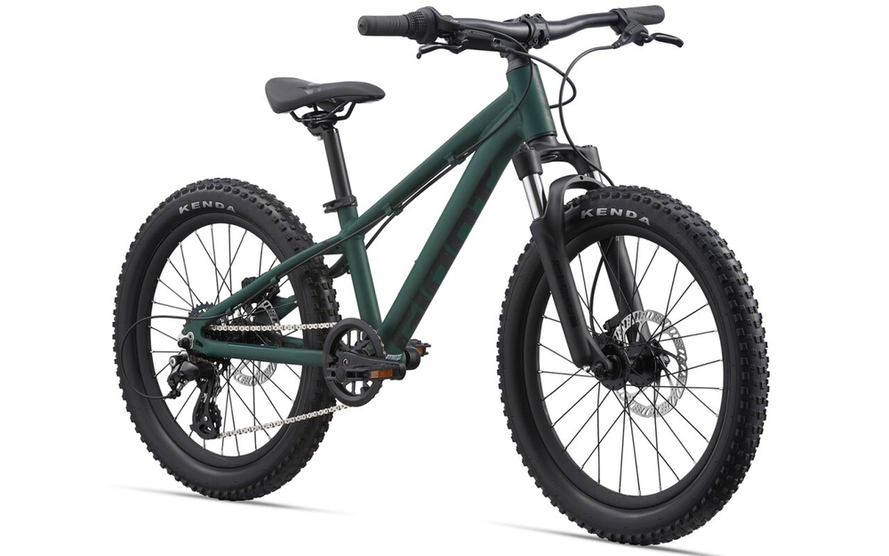 Детский велосипед Giant STP 20 FS (2023)