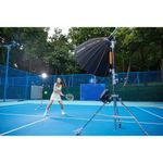 Вспышка аккумуляторная Godox Witstro AD600ProII