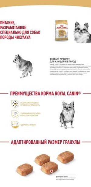 Корм для взрослых собак породы чихуахуа, Royal Canin Chihuahua Adult