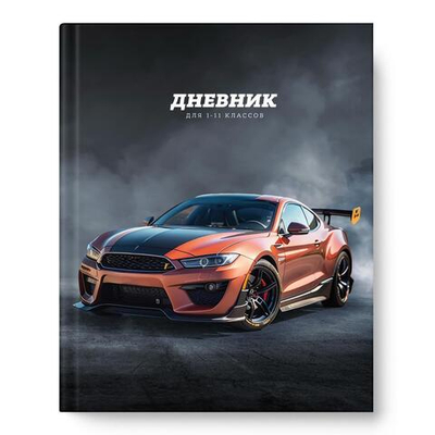 Дневник школьный А5 1-11 кл 40л. "На старте" (Академия Групп)