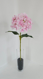 Гортензия / Арт 2097