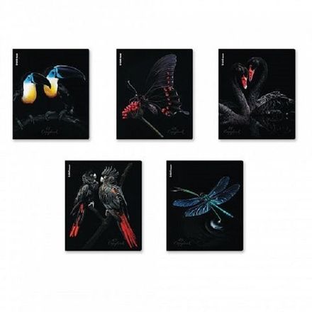 Тетрадь 40л, А5, клетка, ErichKrause Attention, УФ-лак, разного дизайна, 1шт.