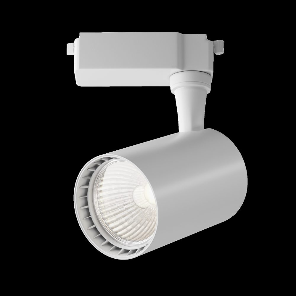 Трековый светодиодный светильник Maytoni Vuoro TR003-1-10W4K-W-W