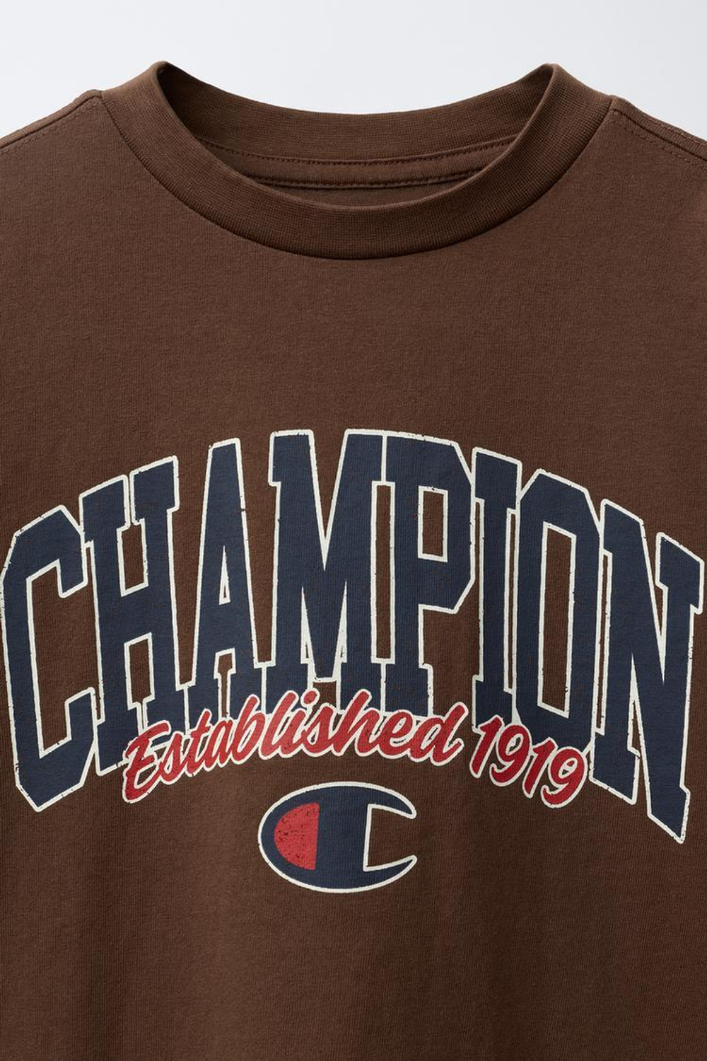 ZARA Х CHAMPION ® ФУТБОЛКА С ПРИНТОМ, КОРИЧНЕВЫЙ