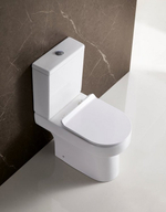 Унитаз компакт BelBagno Norma BB339CPR без бачка и сиденья