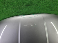 Капот Geely Coolray (2019-2023)