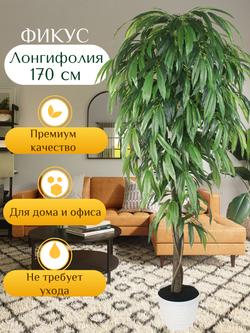 Искусственное дерево Фикус Лонгифолия 170см в кашпо
