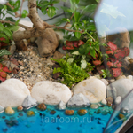 Флорариум бонсай Астероид с озером