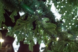 Уличная светодинамическая елка Лесная зеленая 16 м., ствольная, Литая, Green Trees (GT16LESPELED)