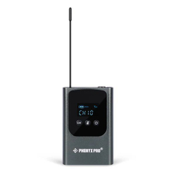 Беспроводная микрофонная система Phenyx Pro PDP-2