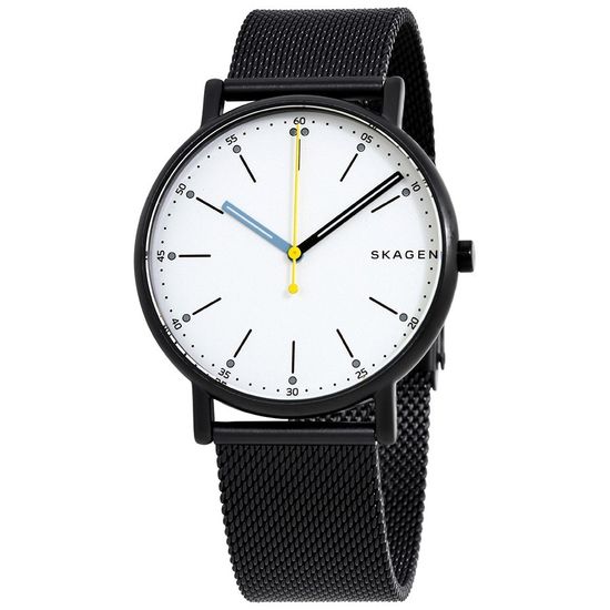 Мужские часы Skagen SKW6376