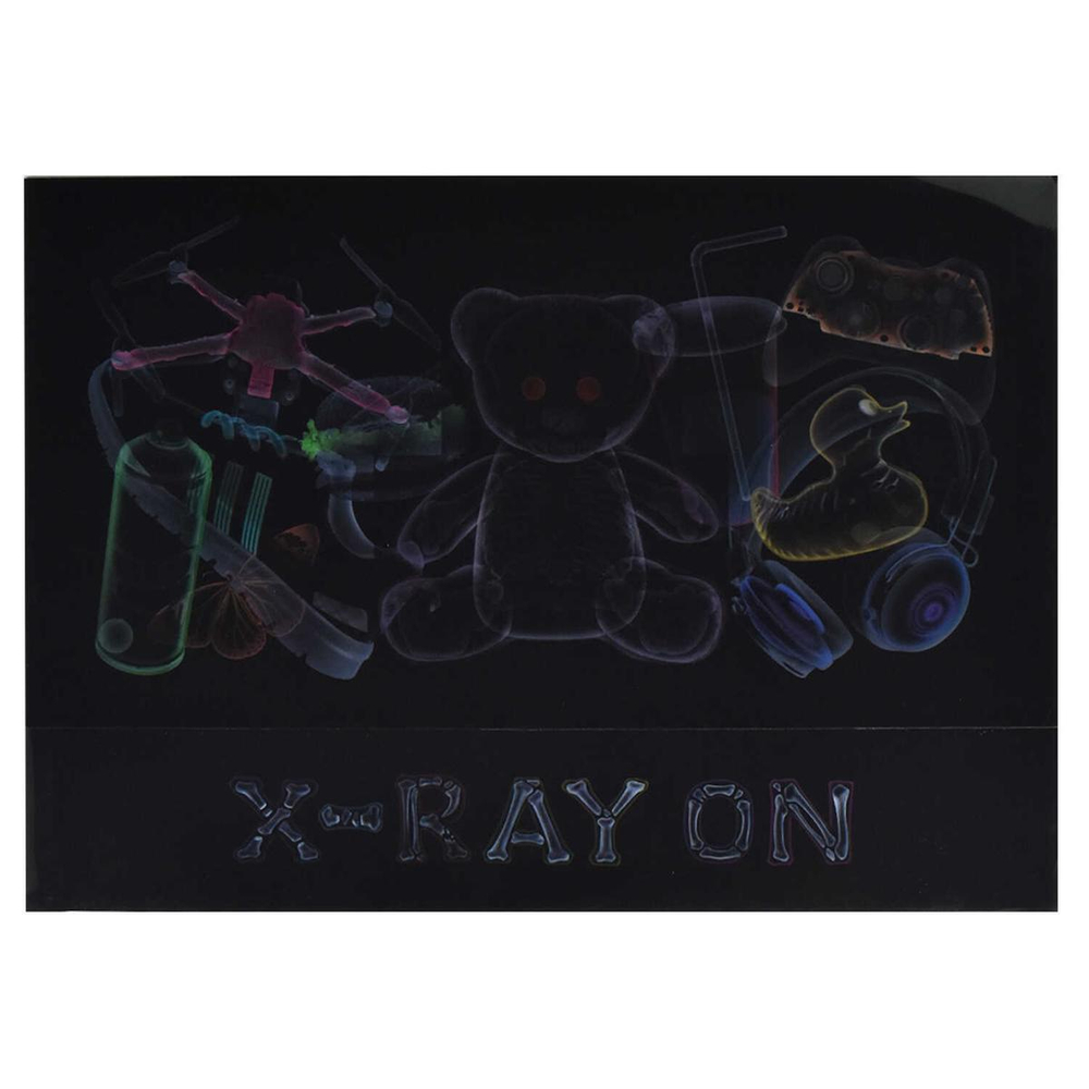 Папка для тетрадей А4 1 отделение, пластиковая "Рентген" (Феникс+)