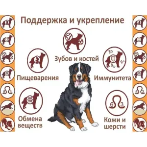 Сухой корм Дилли для взрослых собак с индейкой и рисом