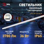 Линейный светодиодный светильник ЭРА SPP-301-36-6K-M 36Вт 6500К IP65 1200 матовый
