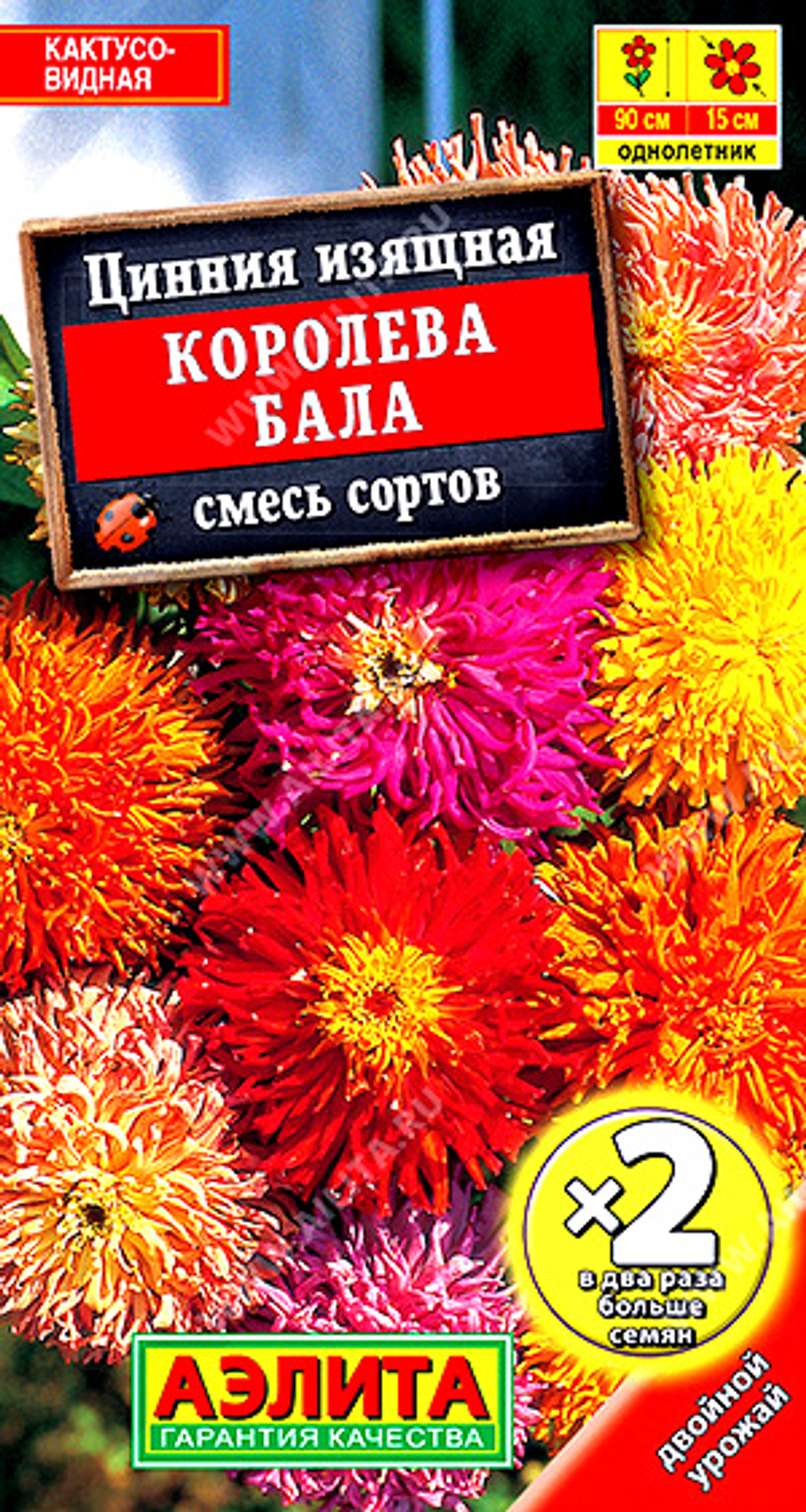 Цинния изящная Королева бала, смесь сортов