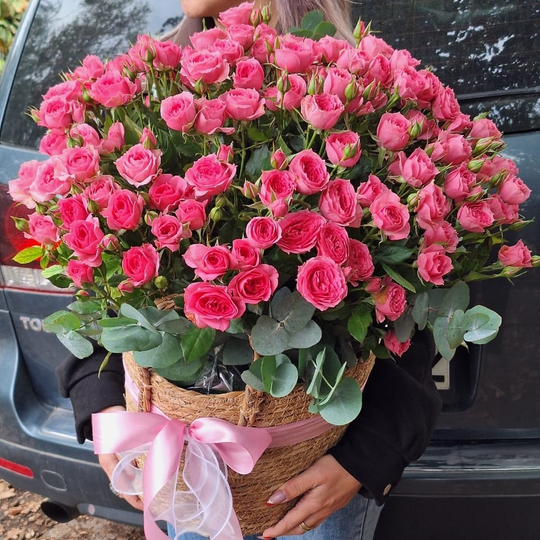 Кустовые розы в кашпо