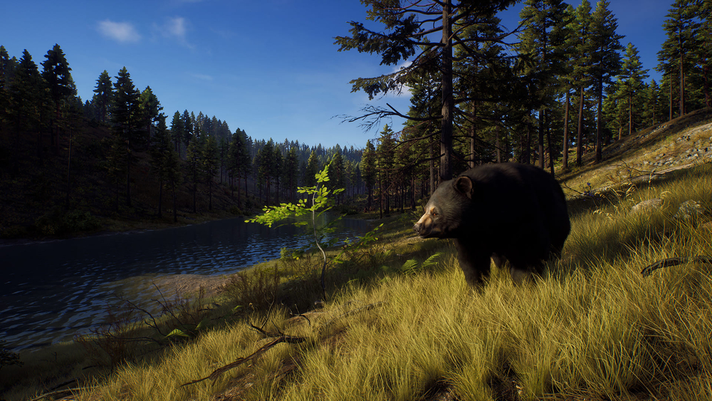 Way of the Hunter (для ПК, цифровой код доступа)