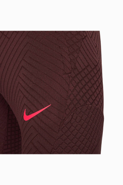 Штаны Nike Liverpool FC 22/23 Strike Elite