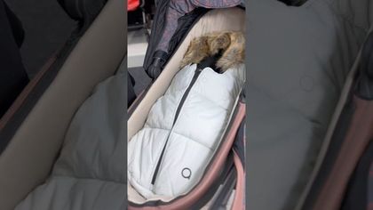 Детская коляска Anex m/type