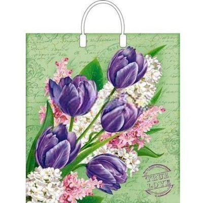 Пакет с пластиковой ручкой ПВД 40х44 (100 мкм) "Беатрис" лам. (10/100 шт.) Интерпак