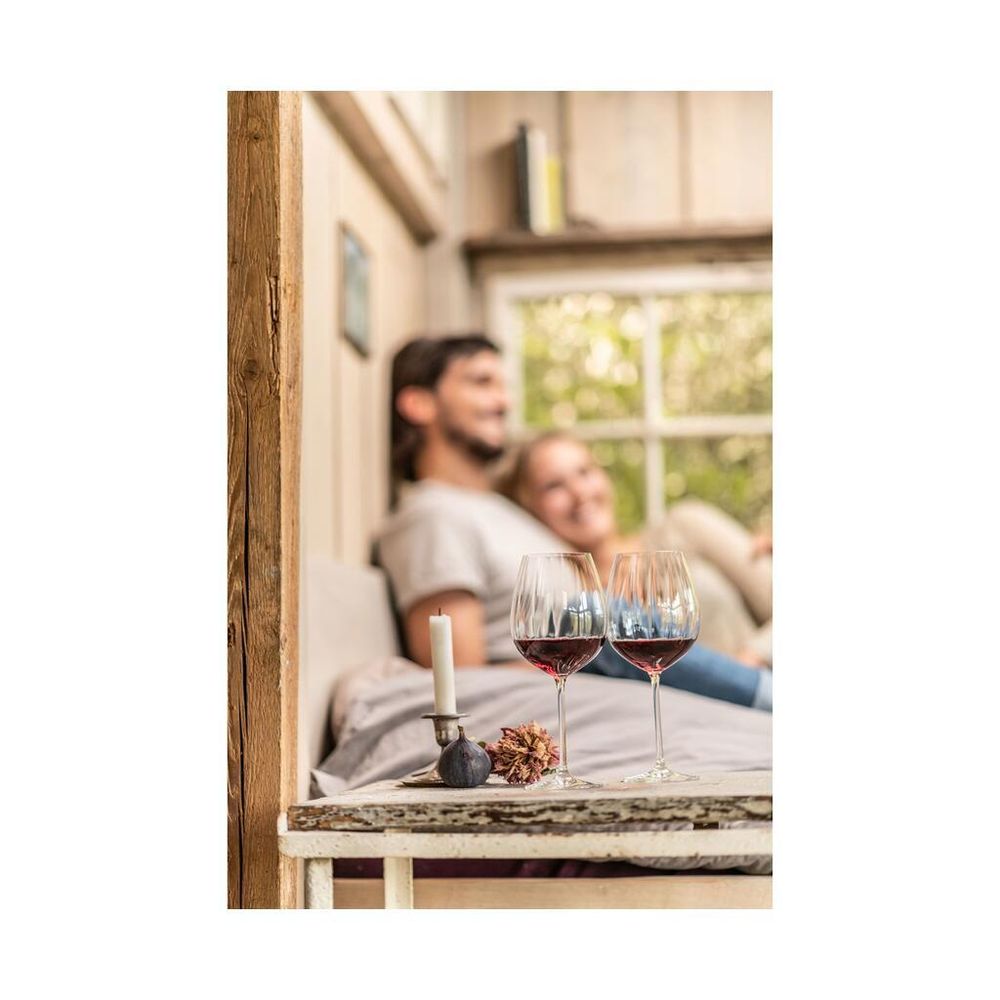 Бокал для вина 613 мл хр. стекло   d 9,4 см h24,3 см Schott Zwiesel [6]