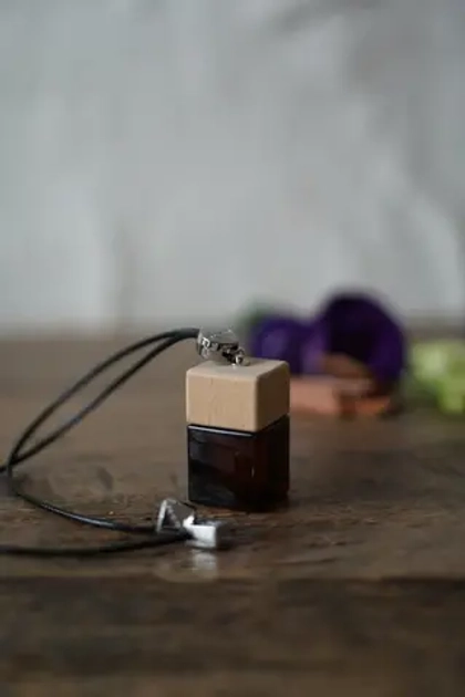 Автопарфюм WILDLIFE