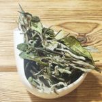 Белый Пион (Бай Му Дань)