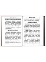 Молитвослов с раздельными канонами и правилом ко Святому Причащению. Крупный шрифт (Благовест)