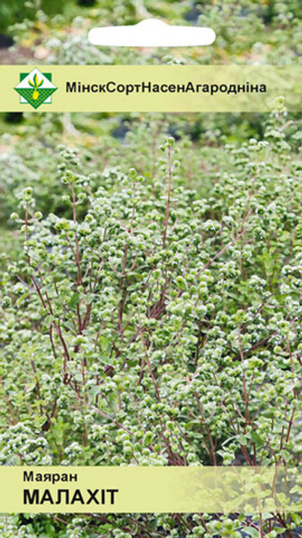 Майоран "Малахит" 0.1г, Польша.
