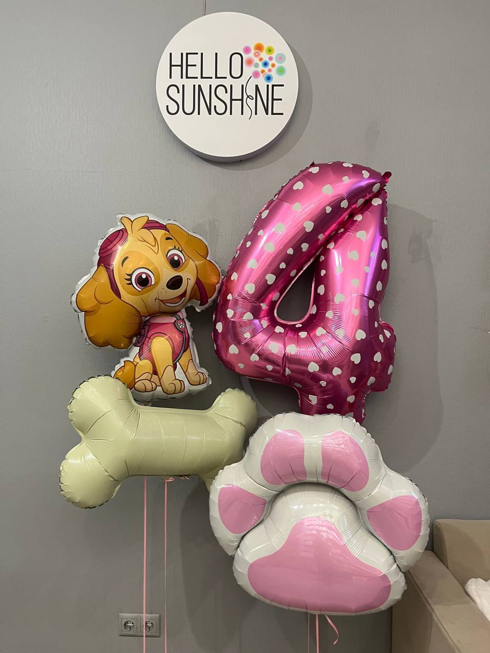 Набор шаров Щенячий Патруль Скай
