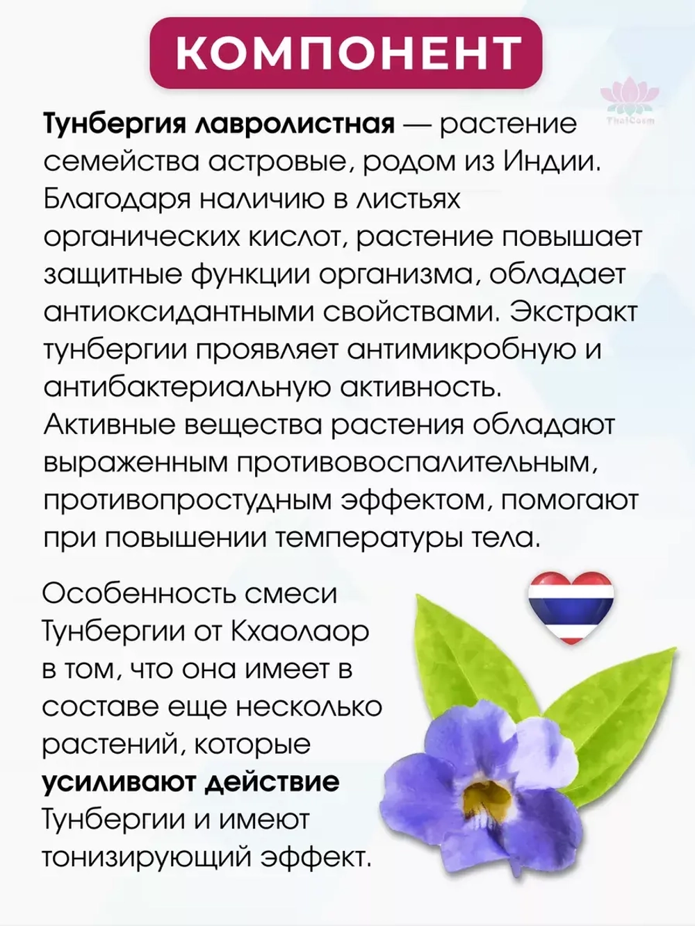 Тайское средство от похмелья при отравлениях Тунбергия