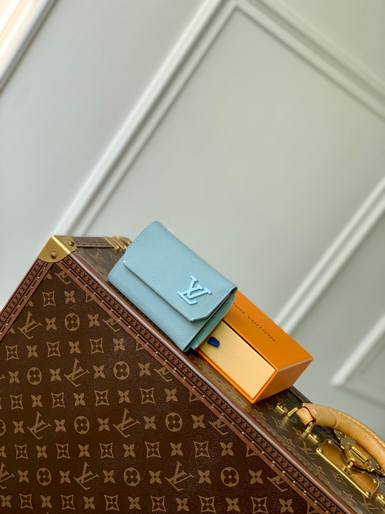 Louis Vuitton Aerogram Pilot Wallet
