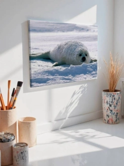 Картина на стену 40 X 50 Нерпа