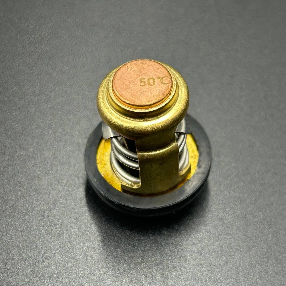 Термостат Yamaha 3-250 (Omax)