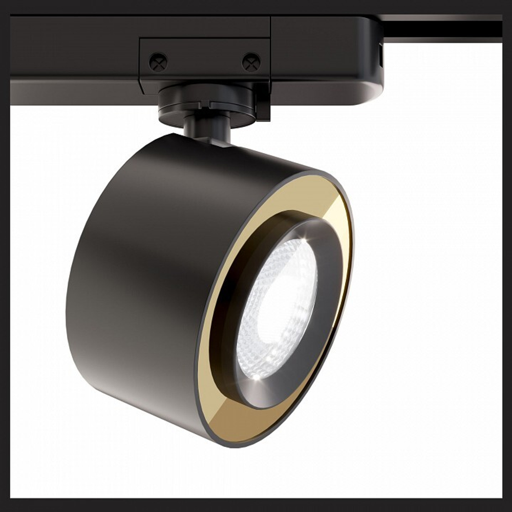Трековый светильник Maytoni Technical TR023-1-12B3K