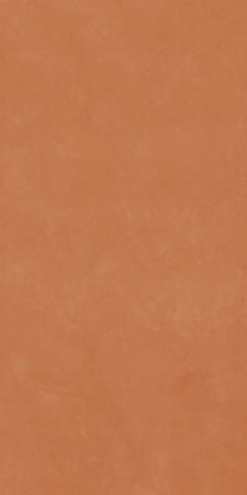 Керамогранит RETINA Silvae612Rm