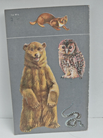 Белый тапир и другие ручные животные