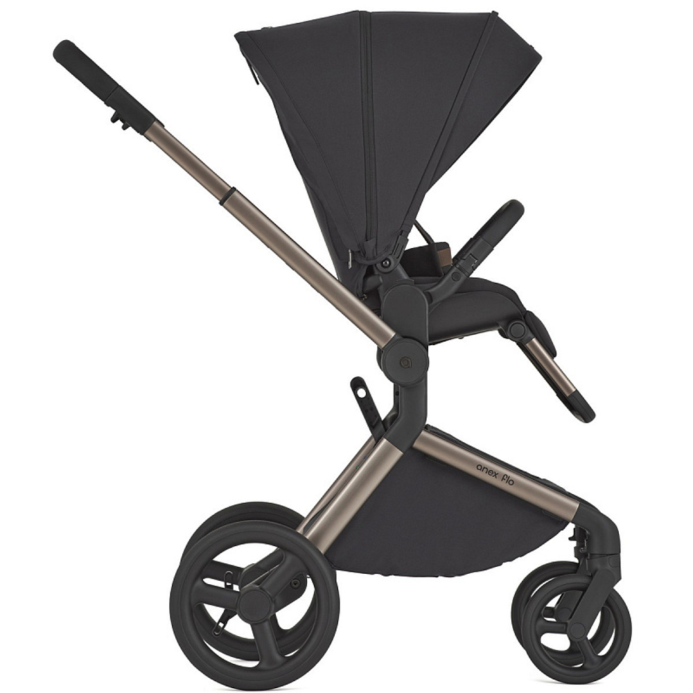 Детская коляска Anex Flo 2 в 1 Solo