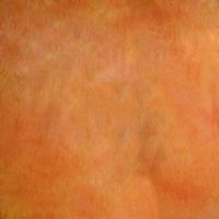 Фон тканевый Grifon W-059 2.7х5 м