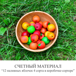 СЧЕТНЫЙ МАТЕРИАЛ "12 Наливных яблочек 4 сорта в коробочке - сортере"