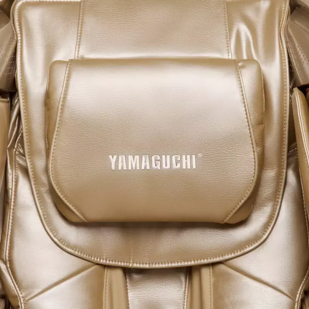 YAMAGUCHI Axiom Champagne