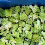 Вероника F1 семена капусты цветной (Bejo / Бейо)