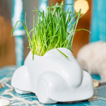 Набор для выращивания eco Машина
