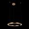 Подвесной светодиодный светильник Loft IT Ring 10013L