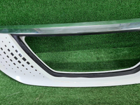 Решетка радиатора Evolute i-PRO (2022-н.в.)
