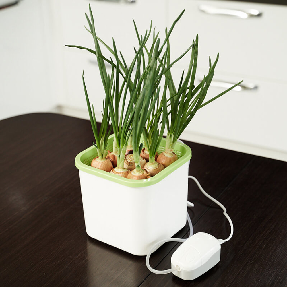 Аэросад. Здоровья клад, 9 ячеек