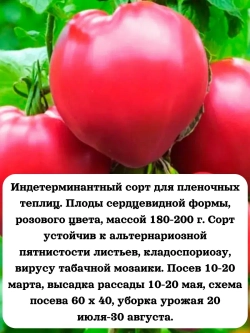 Семена Томат Розовое сердце 0.2 гр