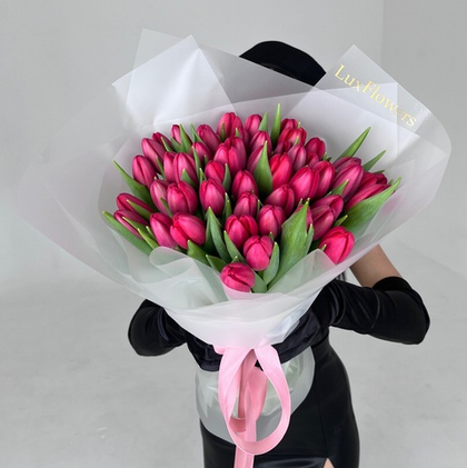 51 красный тюльпан