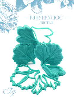 Ранункулюс листья