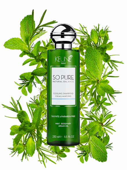 Keune So Pure Шампунь Освежающий So Pure Cooling Shampoo 250 мл
